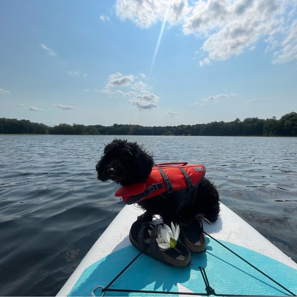 CLOSET DETAILS… - Picture 1 of 1